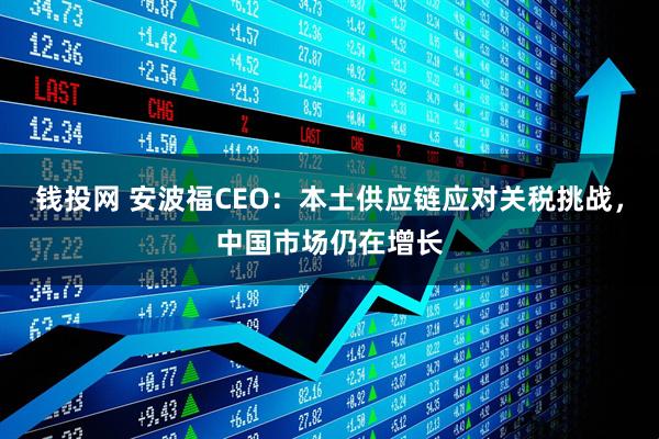 钱投网 安波福CEO:本土供应链应对关税挑战,中国市场仍在增长